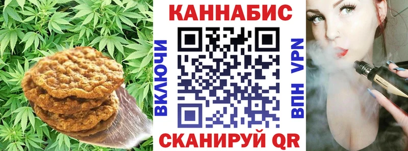 наркота  Богданович  Canna-Cookies марихуана 