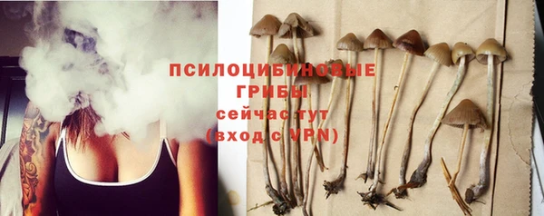 гидропоника Нягань