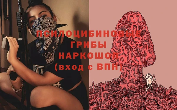 гидропоника Нягань
