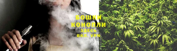 гидропоника Нягань