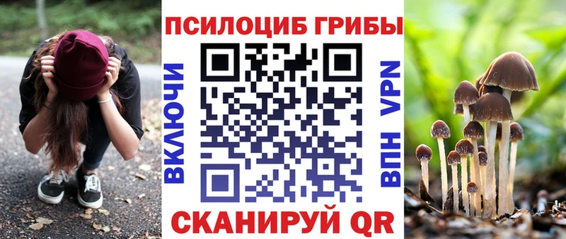 Галлюциногенные грибы Psilocybe  Богданович 
