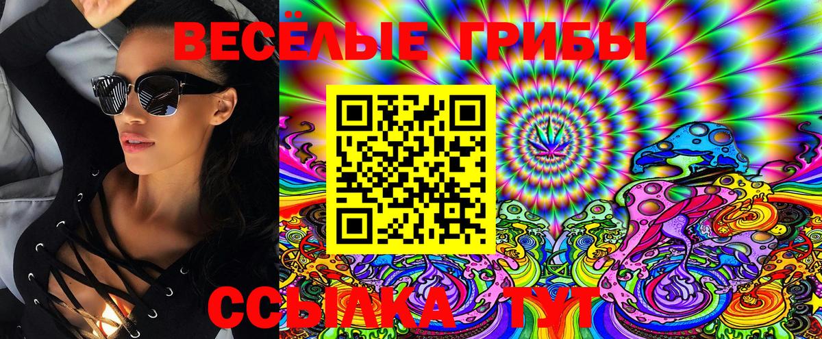 Галлюциногенные грибы мицелий  Богданович 