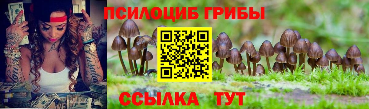 Псилоцибиновые грибы Psilocybe  Псилоцибиновые грибы Cubensis  Вход с VPN  Богданович 